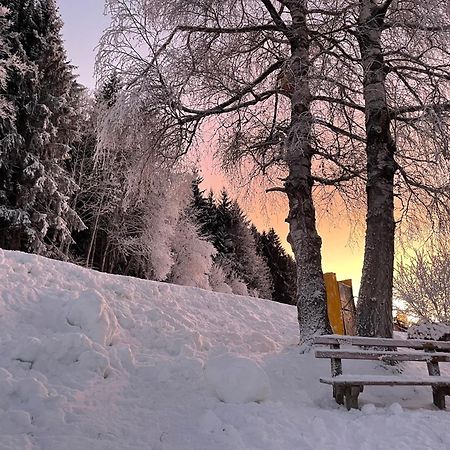 Luserblick Haus im Ennstal Exteriér fotografie