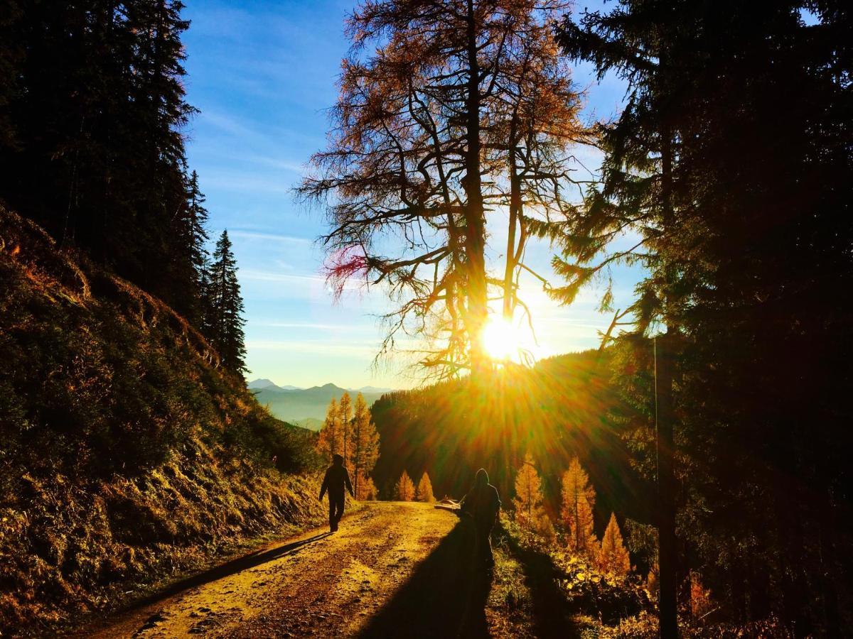 Luserblick Haus im Ennstal Exteriér fotografie