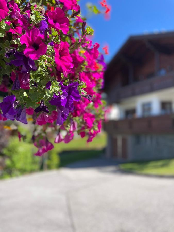 Luserblick Haus im Ennstal Exteriér fotografie