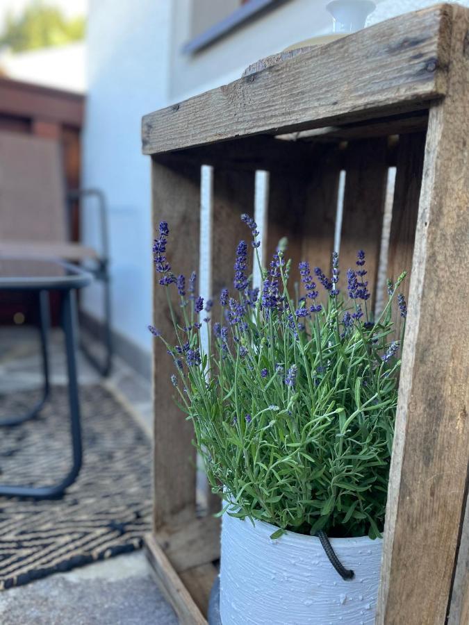 Luserblick Haus im Ennstal Exteriér fotografie