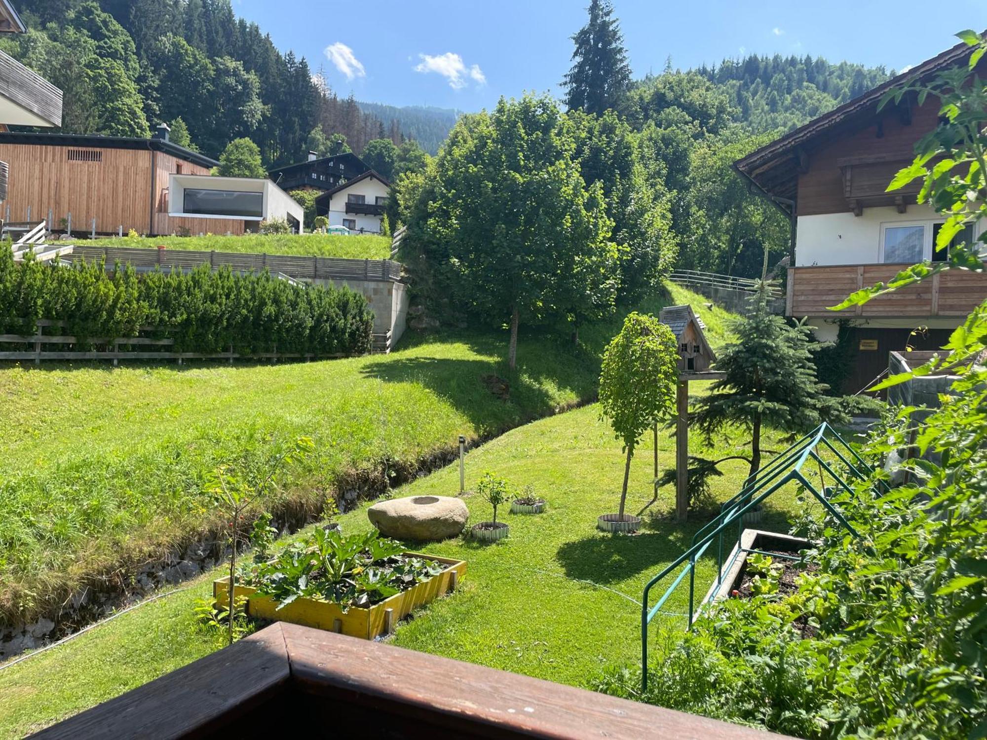 Luserblick Haus im Ennstal Exteriér fotografie