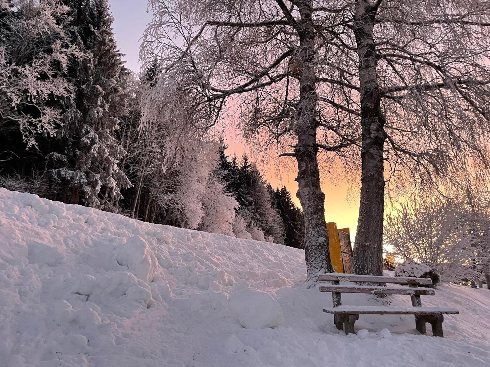 Luserblick Haus im Ennstal Exteriér fotografie